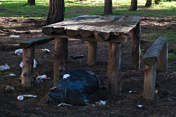 garbage in a pine forest left to witness human stupidity