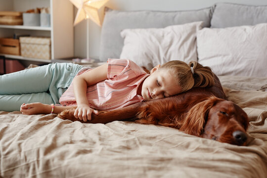 Portrait of cute blonde girl sleeping with big dog on bed, copy space