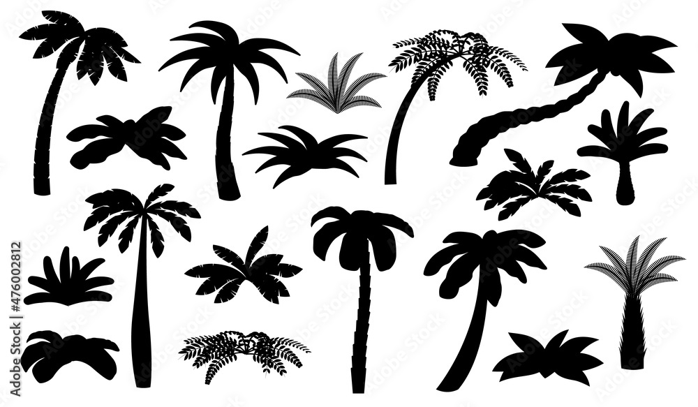 Poster Black palm tree silhouettes. Isolated palms, coconut trees. Beach bush, tropical exotic forest elements. Summer ocean travel landscape recent vector set