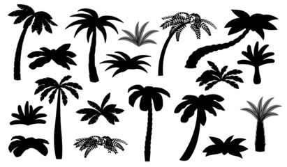 Fototapeta na wymiar Black palm tree silhouettes. Isolated palms, coconut trees. Beach bush, tropical exotic forest elements. Summer ocean travel landscape recent vector set