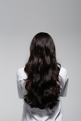 back view of brunette woman with long shiny hair isolated on grey
