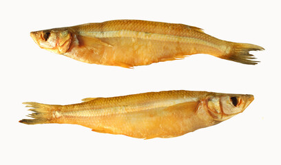 Smoked golden yellow smelt isolated on white background. Fish on both sides