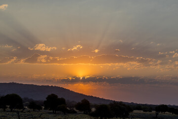 Mesmerizing cloudscape over the hills and fields with thickly growing trees at sunset in Africa