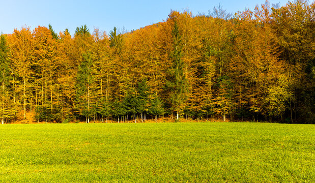 Autumn colors feald hills forest, Slovenia