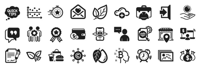 Set of Business icons, such as Timer, Love letter, Winner ribbon icons. Leaf, Mineral oil, Sun protection signs. Check investment, Copywriting network, Market location. Leaves, Quick tips. Vector