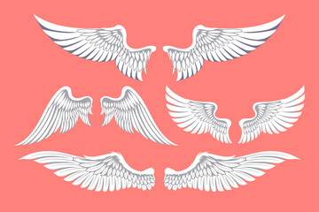 Set of Angel Wings Collection
