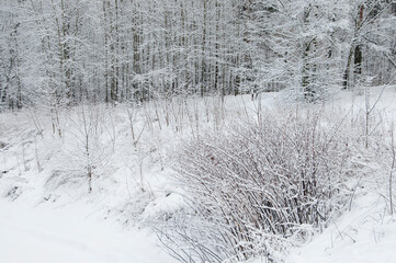 Winter landscape with a park after snowstorm