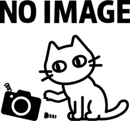 NO IMAGEの文字と壊れたカメラと猫