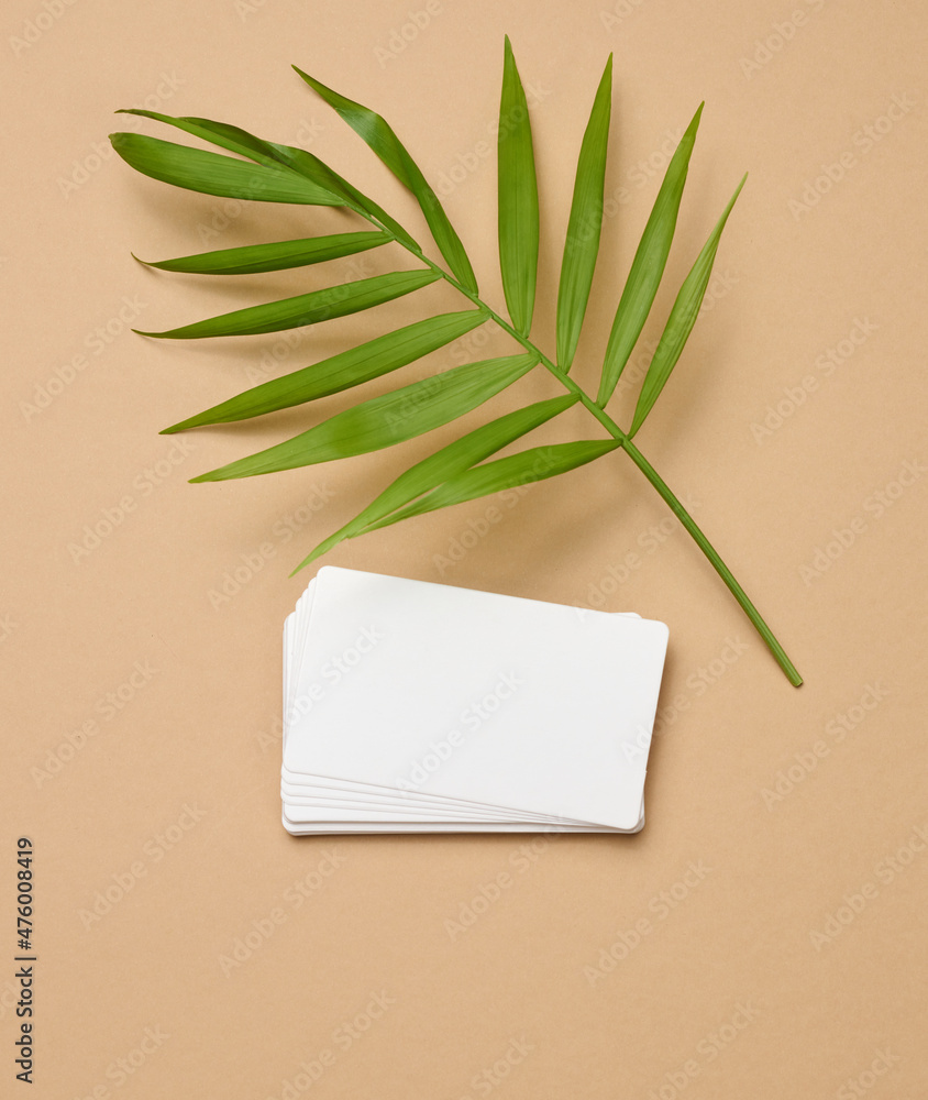 Poster a stack of rectangular white paper business cards and a leaf of a palm tree on a brown background. v