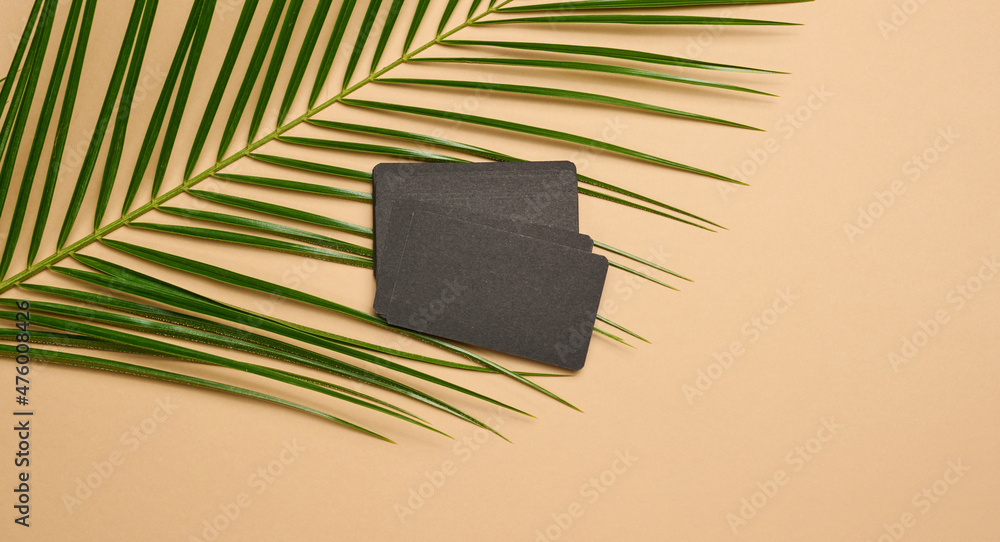 Poster a stack of rectangular black paper business cards and a leaf of a palm tree on a brown background. v