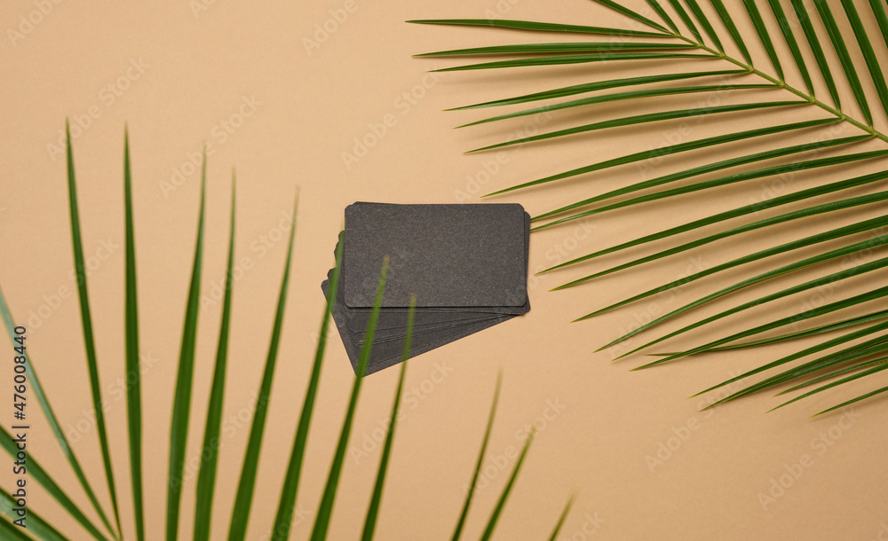 Poster a stack of rectangular black paper business cards and a leaf of a palm tree on a brown background. v