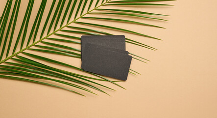 a stack of rectangular black paper business cards and a leaf of a palm tree on a brown background....