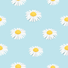 Seamless pattern, background decorated with yellow white daisy chamomile flowers