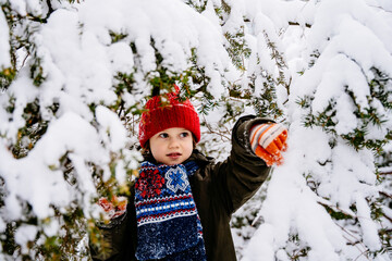Portrait of curious boy touching branch with snow in a warm bright outfit outdoor in winter forest or city park.