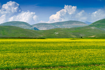 Fototapeta premium Piano Grande di Castelluccio, mountain and rural landscape