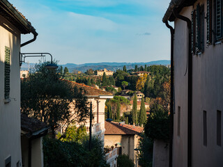 The street in Florence city Italy