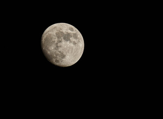 Moon in waxing gibbous phase