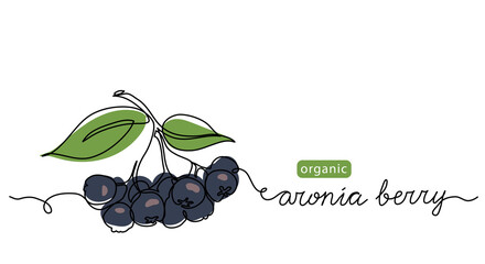 Bunch of chokeberry, aronia berry. Vector color illustration, doodle, sketch for label design. One continuous line art drawing with aronia berry lettering © alstanova@gmail.com