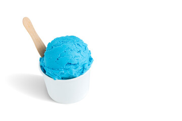 Blueberry ice cream on the bowl