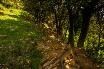 Spring landscape in Falgars D En Bas, La Garrotxa, Spain