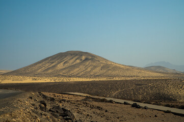 Sandy hills with dry plants