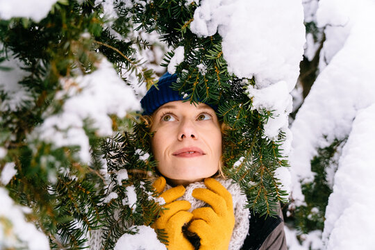 Close up portrait of woman in wooly hat and scarf and gloves in winter tree. Smiling woman in snow-capped fir tree.