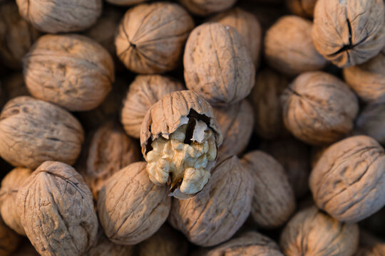 A cracked walnut and blurred walnuts in the background. Focus on cracked walnut.