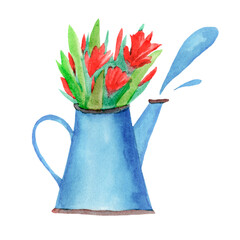 jug with tulips for valentine's day design, blue garden watering can with a bouquet of flowers and water drops, romantic element for design greeting cards.