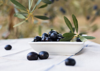 black olives on background of olive branches in garden
