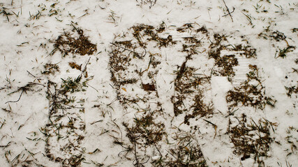 footprints in the snow, travel and movement