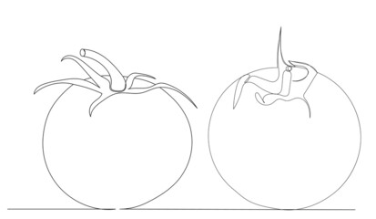 tomatoes drawing by one continuous line, vector
