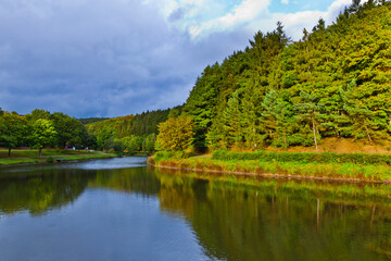 lake in the forest