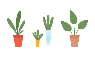 Indoor Plant and Green Foliage Growing in Ceramic Pot Vector Set