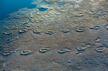 Human footprints on the ice and hard snow