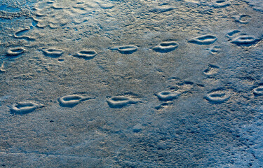 Human footprints on the ice and hard snow