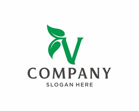 Letter v Leaf Logo