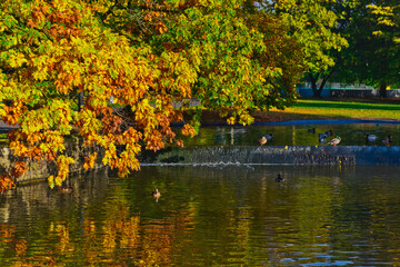 autumn in the city