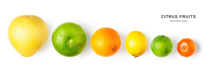 Lemon, lime, grapefruit, tangerine, pomelo and orange citrus fruits creative banner.