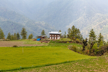 Obraz premium View at a Bhutanese farmer house in the green mountains in Central Bhutan, Asia