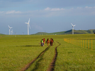 A heard of horses herded by a man driving a motorbike, rushing them towards wind turbines build on...