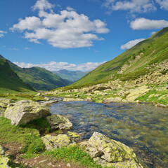 Fototapeta na wymiar Pure river in mountain valley.