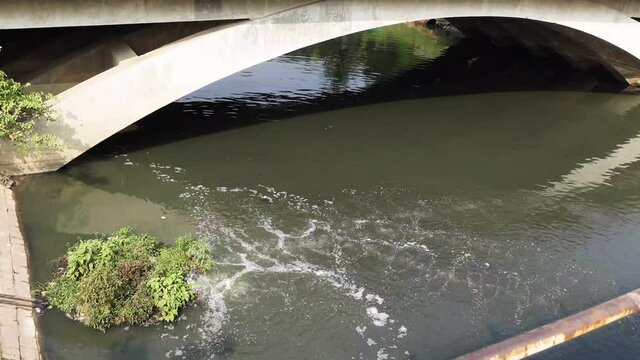 Polution on lake. Dirty water 