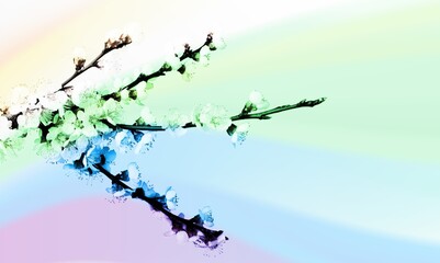 nature. Blossoming branch Bright colorful spring flowers