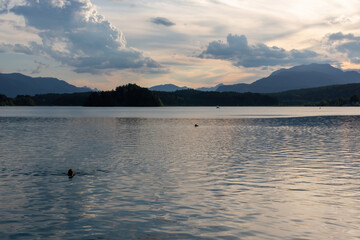 A woman swimming in the Lake Faak in Austria. The lake is surrounded by high Alpine peaks. The sun in slowly setting behind the mountains. Lots of clouds. Calm surface reflects the sunbeams. Happiness