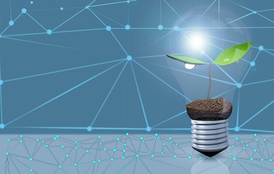 Plant Growing On Lightbulb With Digital Convergence And Network Technology Background.