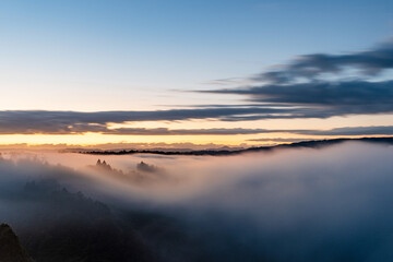 奈良 - 【月ヶ瀬梅渓の雲海】