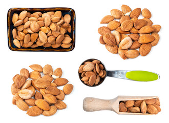 set of various apricot kernels cutout on white