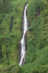 Famous Poco da Ribeira do Ferreiro waterfalls in the rainforest near, Faja Grande, Flores, Azores, Portugal