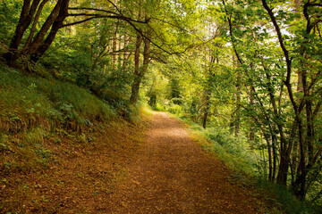 Fototapeta premium Romagna