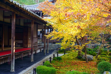 京都紅葉写真、日本の美、圓光寺の日本庭園